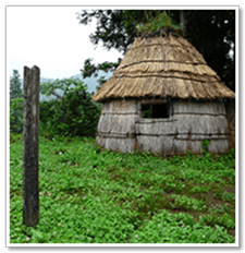 遠野のデンデラ野